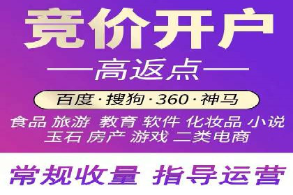 SEM广告投放的竞价策略与效果评估案例
