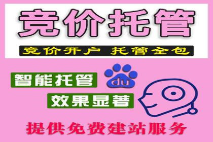 某行业sem百度竞价全解析